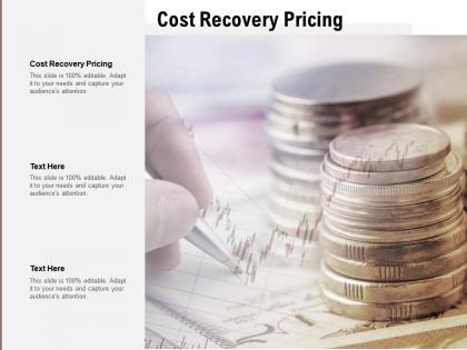 Cost recovery pricing ppt powerpoint presentation infographic template graphic images cpb