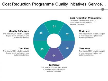Cost reduction programme quality initiatives service design service transition
