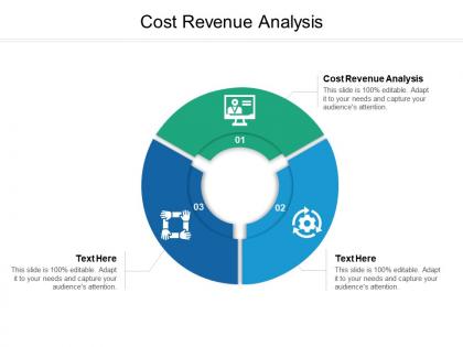 Cost revenue analysis ppt powerpoint presentation file graphic tips cpb