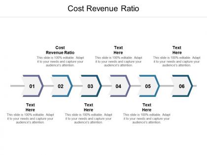 Cost revenue ratio ppt powerpoint presentation styles deck cpb