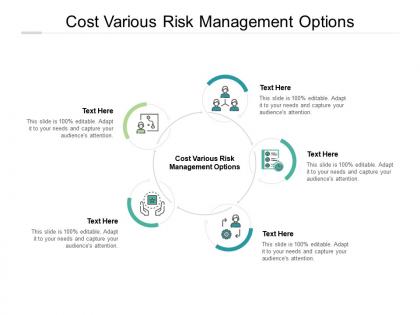 Cost various risk management options ppt powerpoint presentation infographic template topics cpb