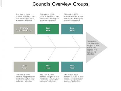 Councils overview groups ppt powerpoint presentation file slide portrait cpb