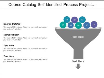Course catalog self identified process project quality assurance