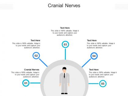 Cranial nerves ppt powerpoint presentation ideas graphics pictures cpb
