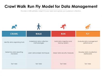 Crawl walk run fly model for data management
