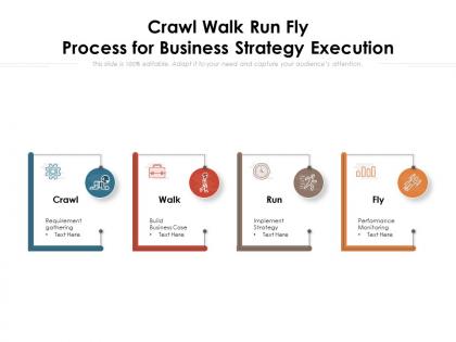 Crawl walk run fly process for business strategy execution