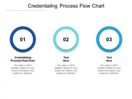 Credentialing process flow chart ppt powerpoint presentation summary master slide cpb