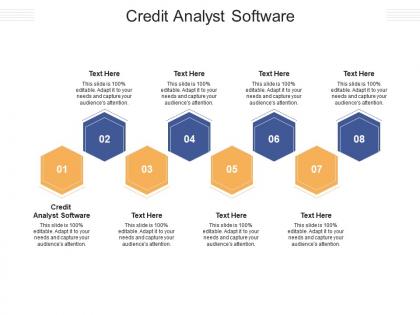 Credit analyst software ppt powerpoint presentation styles vector cpb