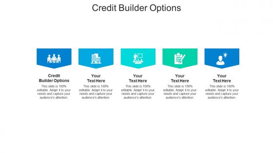 Credit builder options ppt powerpoint presentation portfolio model cpb