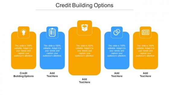 Credit Building Options Ppt Powerpoint Presentation Infographic Template Show Cpb