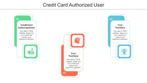 Credit Card Authorized User Ppt Powerpoint Presentation File Slide Portrait Cpb