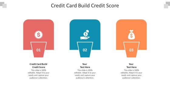 Credit card build credit score ppt powerpoint presentation portfolio portrait cpb