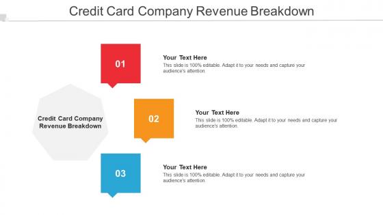 Credit Card Company Revenue Breakdown Ppt Powerpoint Presentation Slides Deck Cpb