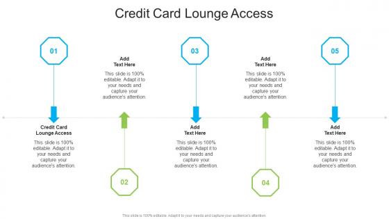 Credit Card Lounge Access In Powerpoint And Google Slides Cpb
