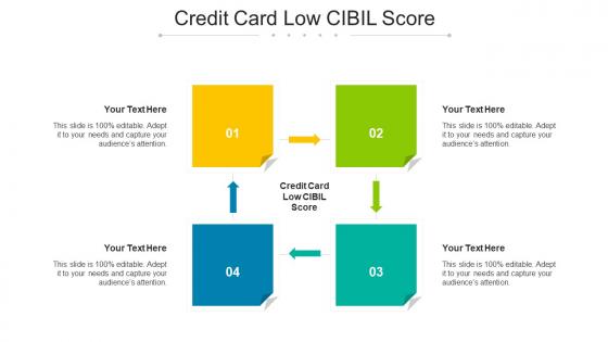 Credit Card Low Cibil Score Ppt Powerpoint Presentation Styles Images Cpb
