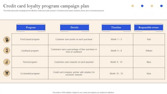 Credit Card Loyalty Program Campaign Plan Implementation Of Successful Credit Card Strategy SS V