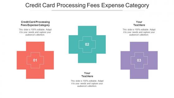 Credit Card Processing Fees Expense Category Ppt Powerpoint Presentation Topics Cpb