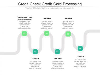 Credit check credit card processing ppt powerpoint presentation example cpb