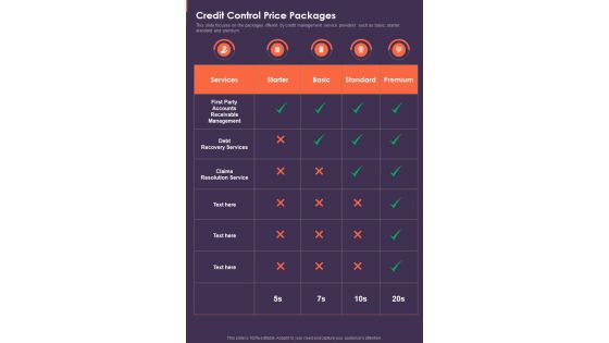 Credit Control Price Packages Credit Control Process Proposal One Pager Sample Example Document