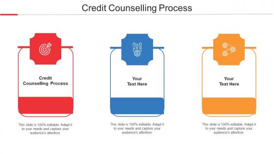 Credit Counselling Process Ppt Powerpoint Presentation Pictures Influencers Cpb