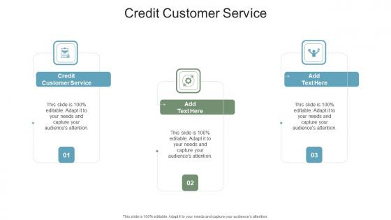Credit Customer Service In Powerpoint And Google Slides Cpb