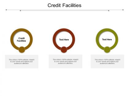 Credit facilities ppt powerpoint presentation summary backgrounds cpb