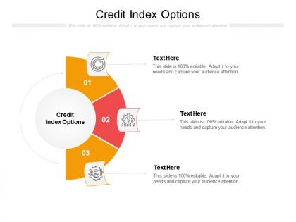 Credit index options ppt powerpoint presentation portfolio infographic template cpb