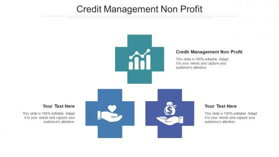 Credit Management Non Profit Ppt Powerpoint Presentation Inspiration Picture Cpb