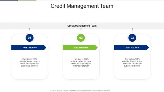 Credit Management Team In Powerpoint And Google Slides Cpb