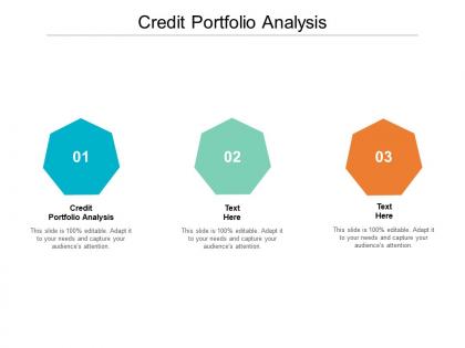 Credit portfolio analysis ppt powerpoint presentation portfolio backgrounds cpb