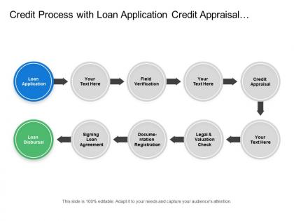 Credit process with loan application credit appraisal field verification and legal check
