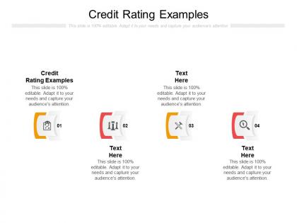Credit rating examples ppt powerpoint presentation layouts information cpb