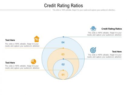 Credit rating ratios ppt powerpoint presentation file structure cpb