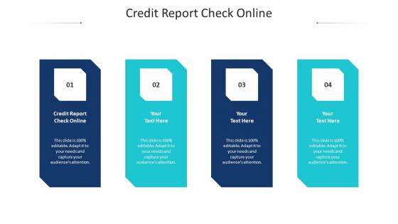 Credit Report Check Online Ppt Powerpoint Presentation File Examples Cpb