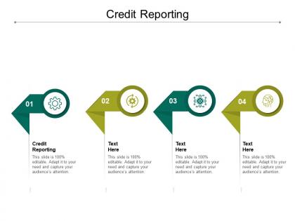Credit reporting ppt powerpoint presentation icon ideas cpb