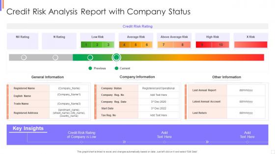 Credit Risk Analysis Report With Company Status