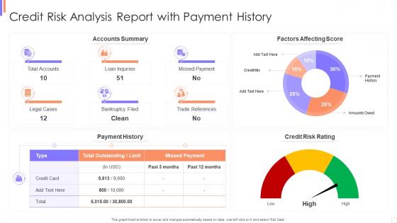 Credit Risk Analysis Report With Payment History