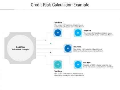 Credit risk calculation example ppt powerpoint presentation infographics slides cpb