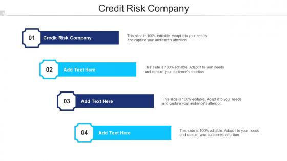 Credit Risk Company Ppt Powerpoint Presentation Summary Tips Cpb