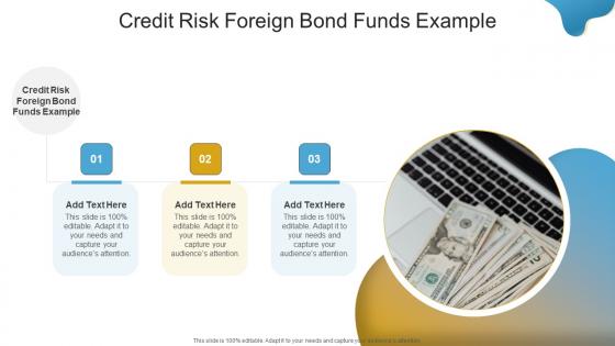 Credit Risk Foreign Bond Funds Example In Powerpoint And Google Slides Cpb