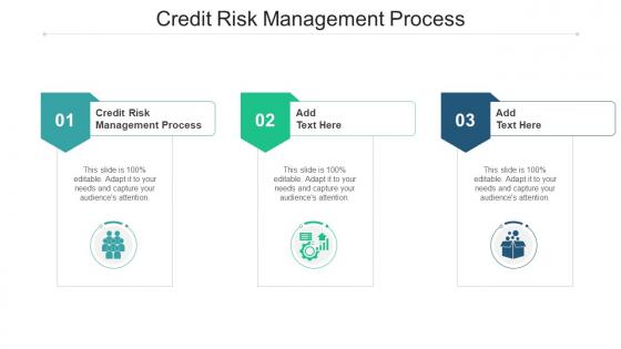 Credit Risk Management Process In Powerpoint And Google Slides Cpb