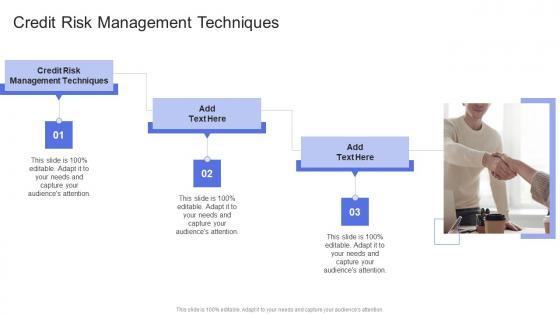 Credit Risk Management Techniques In Powerpoint And Google Slides Cpb