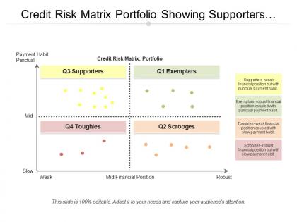 Credit risk matrix portfolio showing supporters and exemplars