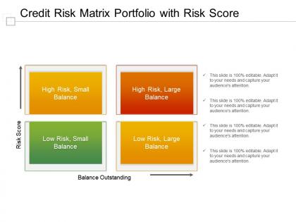 Credit risk matrix portfolio with risk score