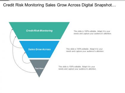 Credit risk monitoring sales grow across digital snapshot advertising trends cpb