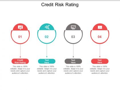 Credit risk rating ppt powerpoint presentation styles example cpb