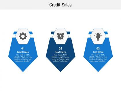 Credit sales ppt powerpoint presentation gallery inspiration cpb