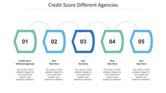 Credit Score Different Agencies Ppt Powerpoint Presentation Layout Cpb