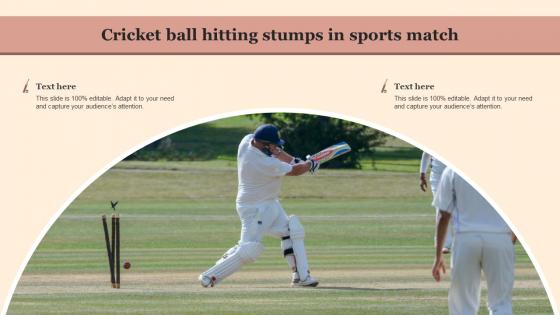 Cricket Ball Hitting Stumps In Sports Match