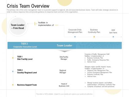 Crisis team overview ppt powerpoint presentation show example